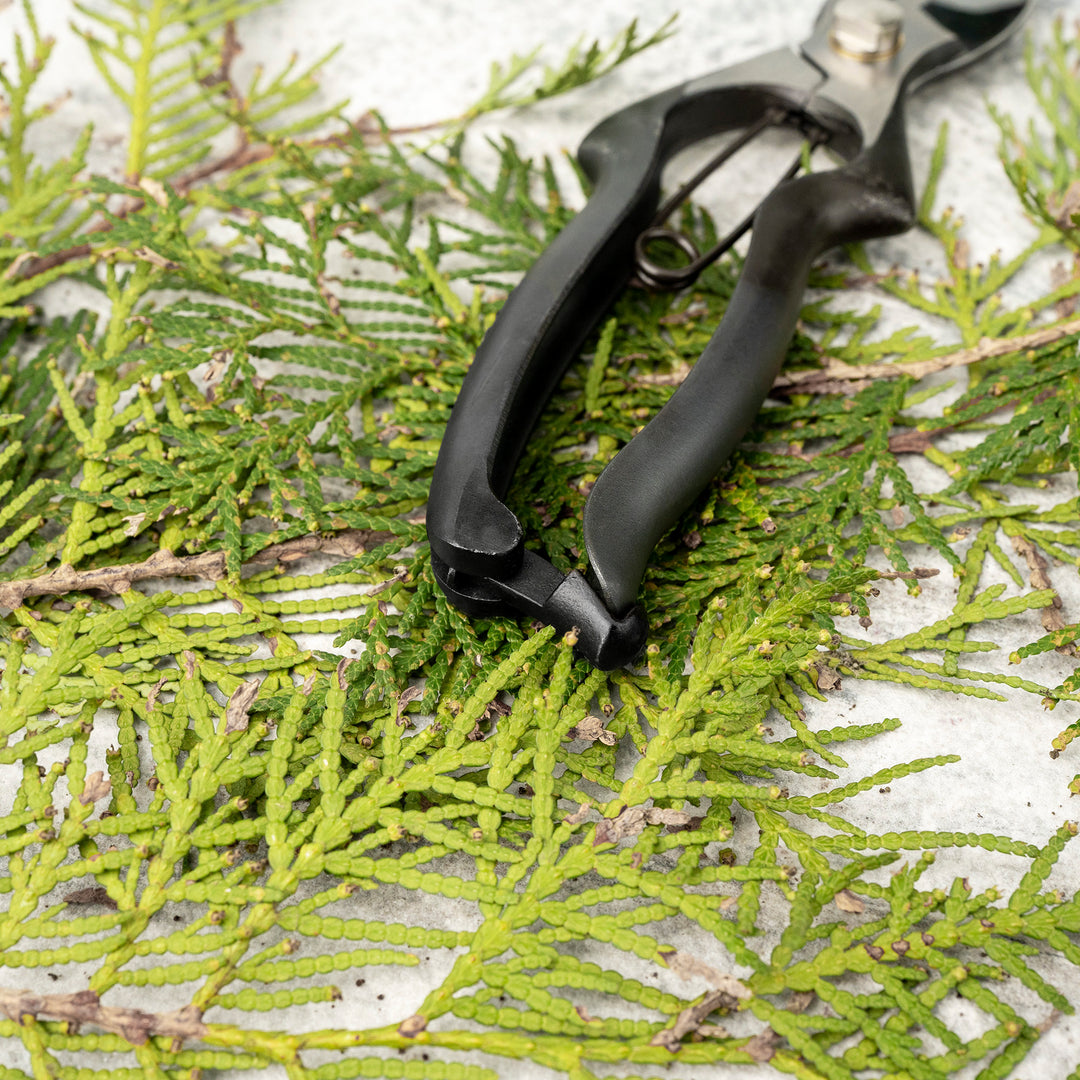 Japanese “M” Carbon Pruning Shears Asymmetrical 20 cm Toyama Hamono