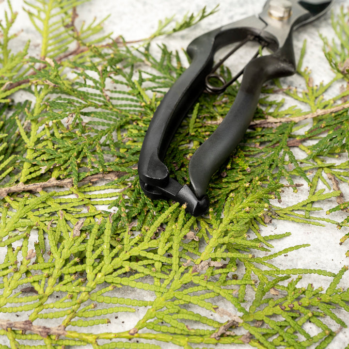 Japanese “M” Carbon Pruning Shears Asymmetrical 20 cm Toyama Hamono