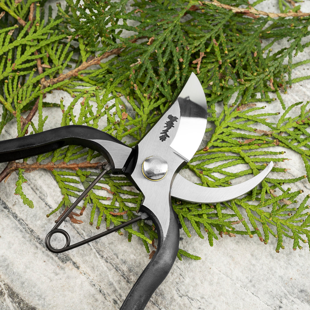 Japanese “M” Carbon Pruning Shears Symmetrical 20 cm Toyama Hamono