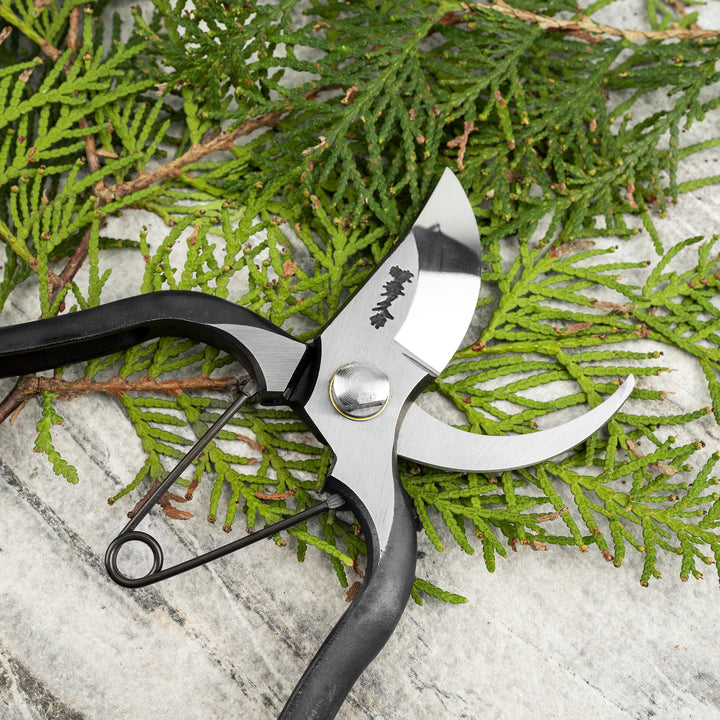 Japanese “M” Carbon Pruning Shears Symmetrical 20 cm Toyama Hamono