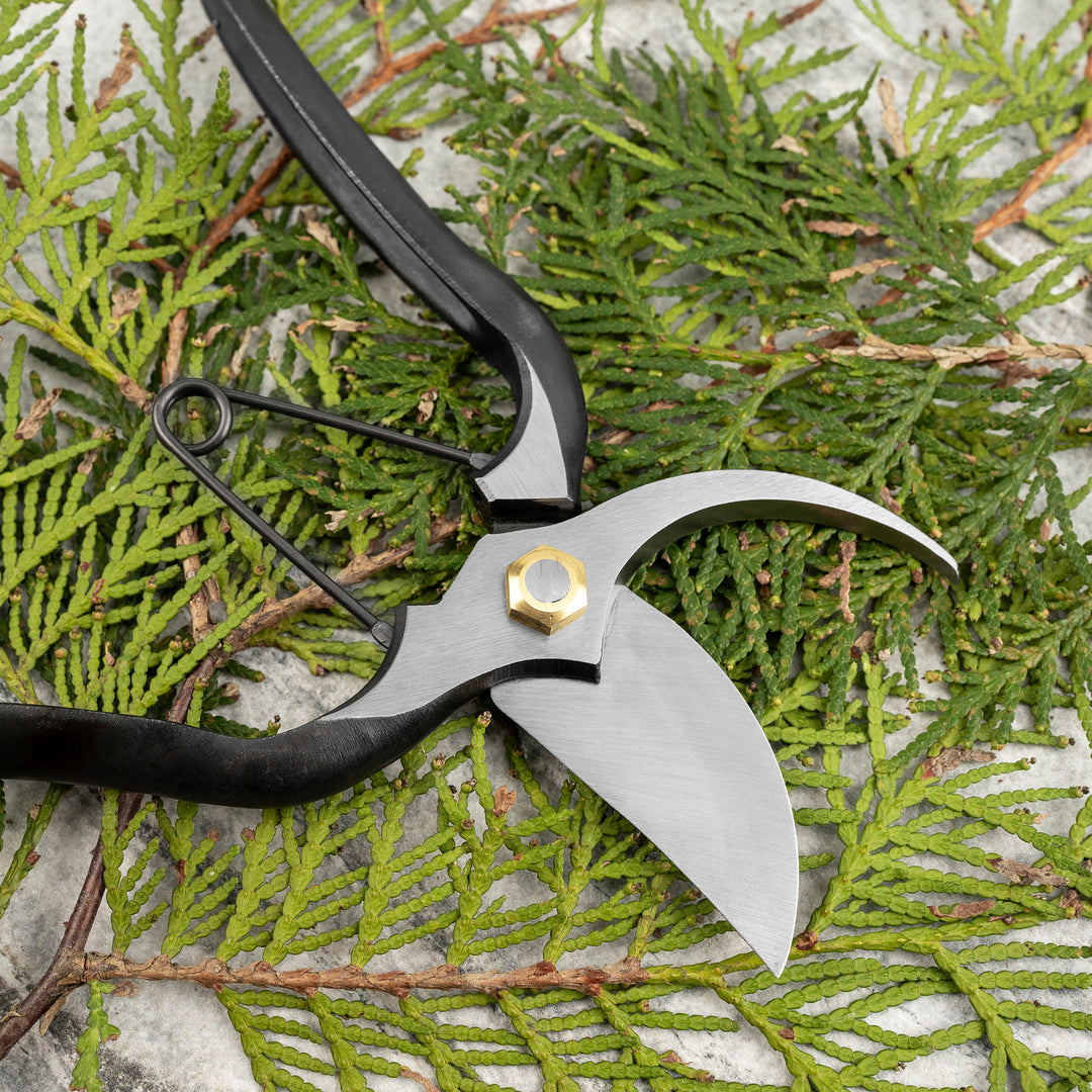 Japanese “M” Carbon Pruning Shears Symmetrical 20 cm Toyama Hamono