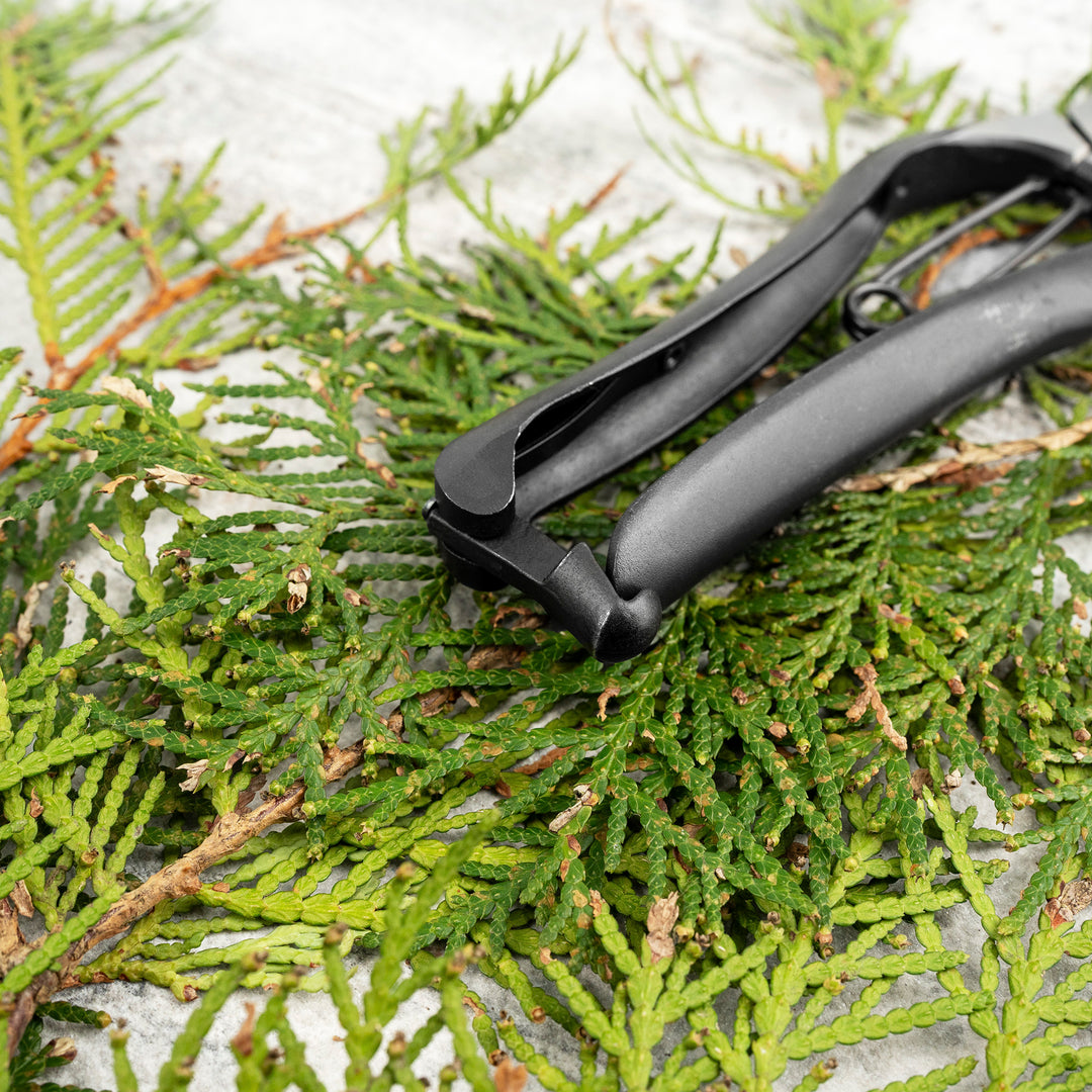 Japanese “M” Carbon Pruning Shears Symmetrical 20 cm Toyama Hamono