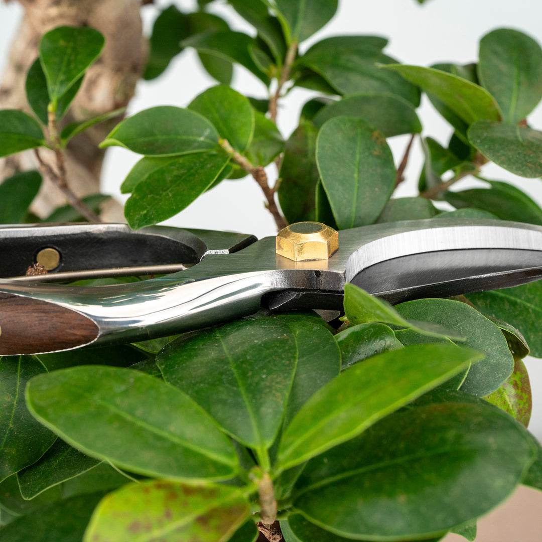 Japanese Carbon Symmetrical Pruning Shears 20 cm Toyama Hamono