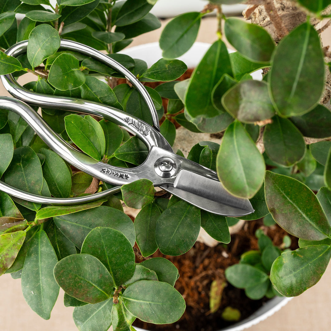Japanese “Okubo” Stainless Steel Garden Shears, 16.5 cm Toyama Hamono