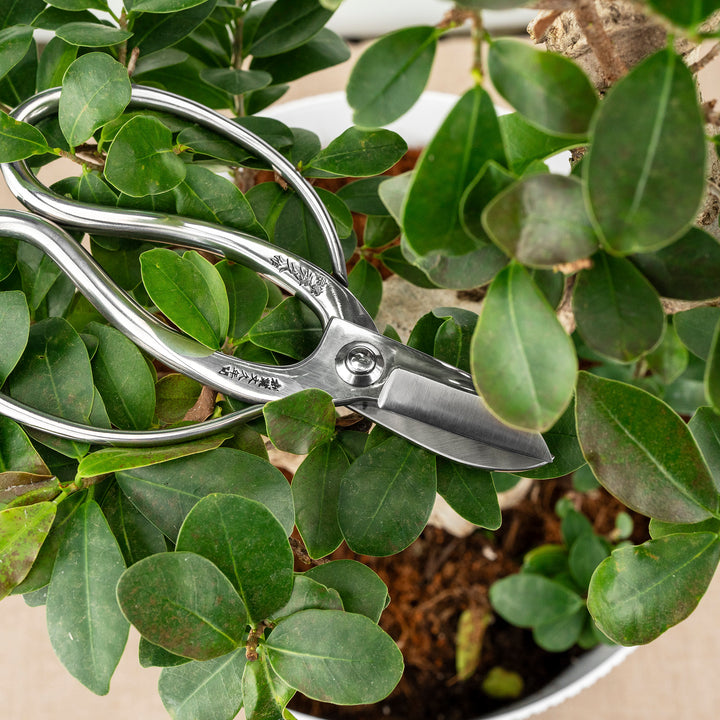 Japanese “Okubo” Stainless Steel Garden Shears, 16.5 cm Toyama Hamono