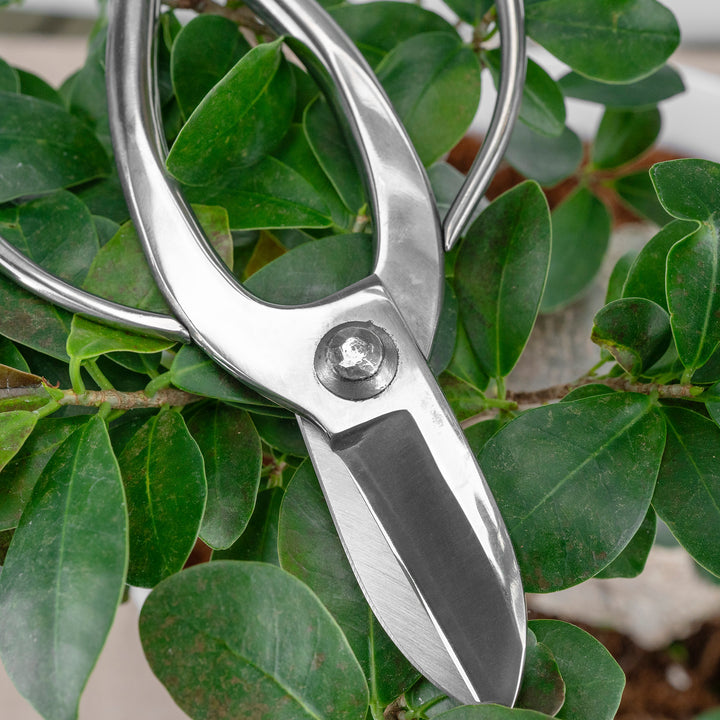 Japanese “Okubo” Stainless Steel Garden Shears, 16.5 cm Toyama Hamono