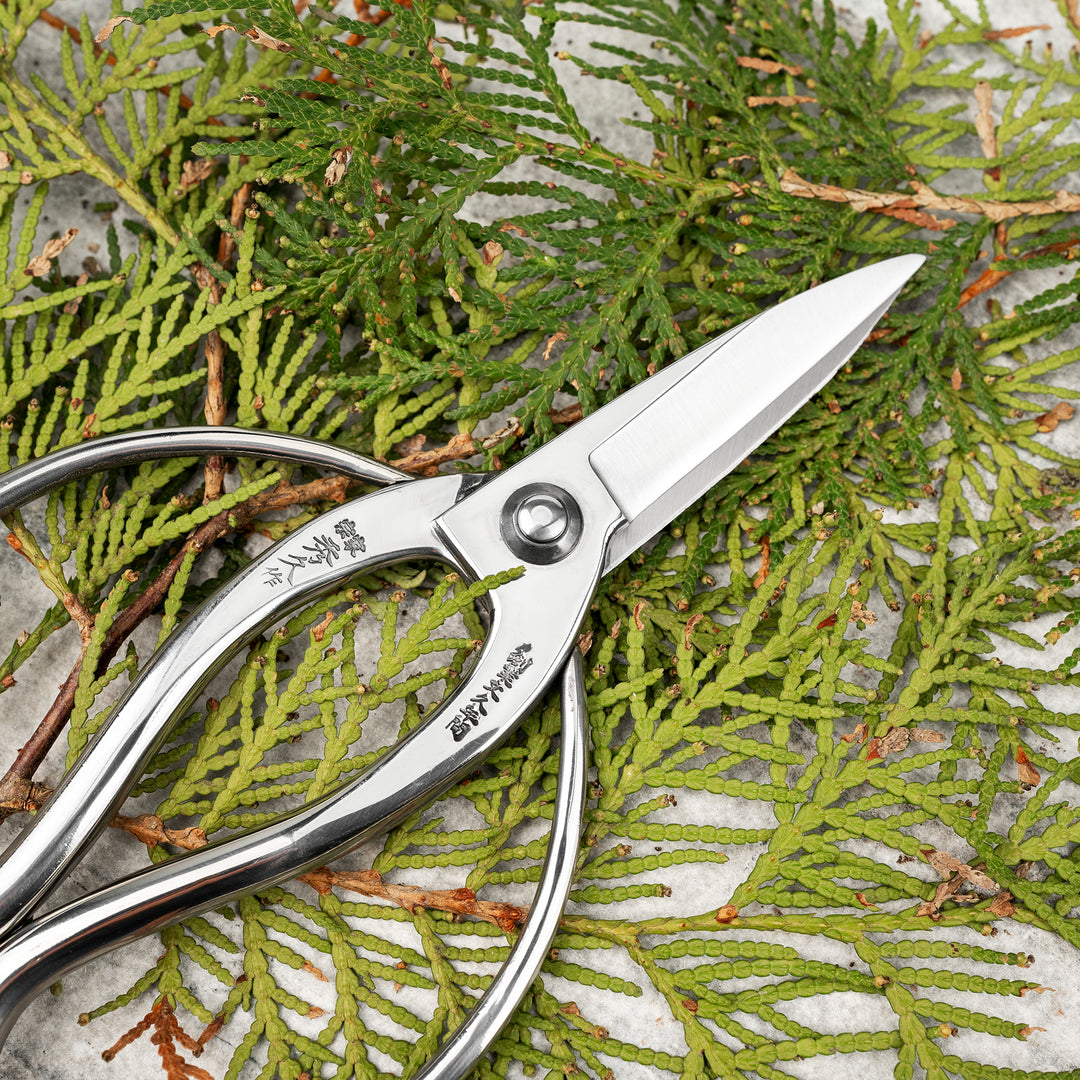 Japanese “Okubo” Stainless Steel Garden Shears, 21 cm Toyama Hamono