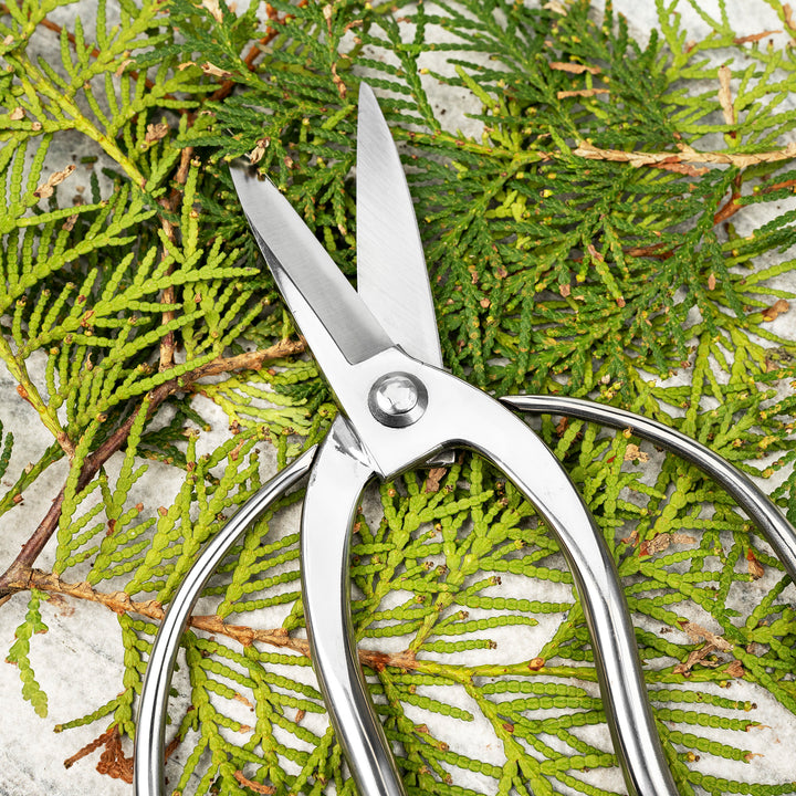 Japanese “Okubo” Stainless Steel Garden Shears, 21 cm Toyama Hamono