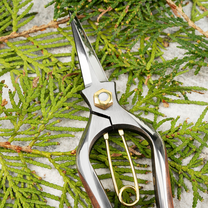 Japanese Stainless Steel Precision Home & Garden Shears 20 cm Toyama Hamono