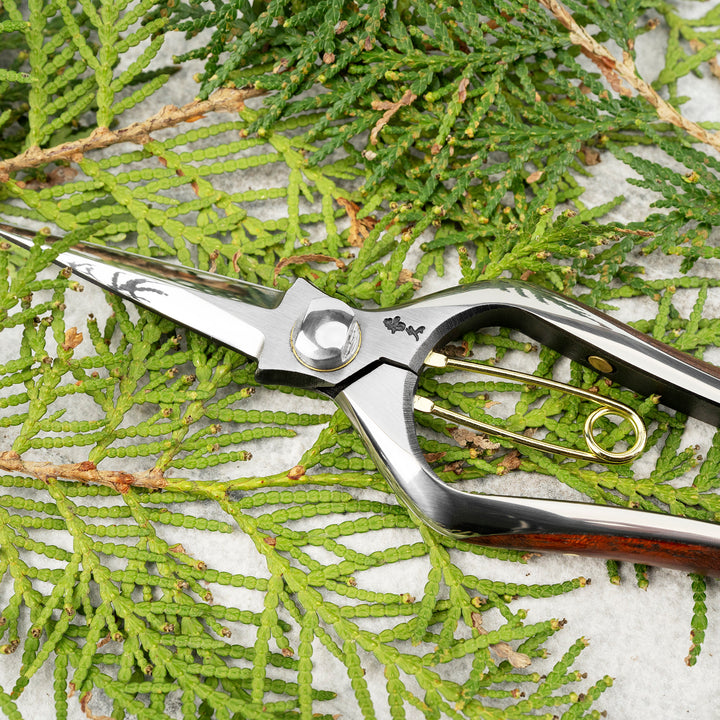 Japanese Stainless Steel Precision Home & Garden Shears 20 cm Toyama Hamono