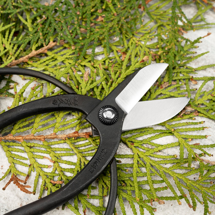 Japanese Carbon Floral Shears for Ikebana 16,5 cm Toyama Hamono