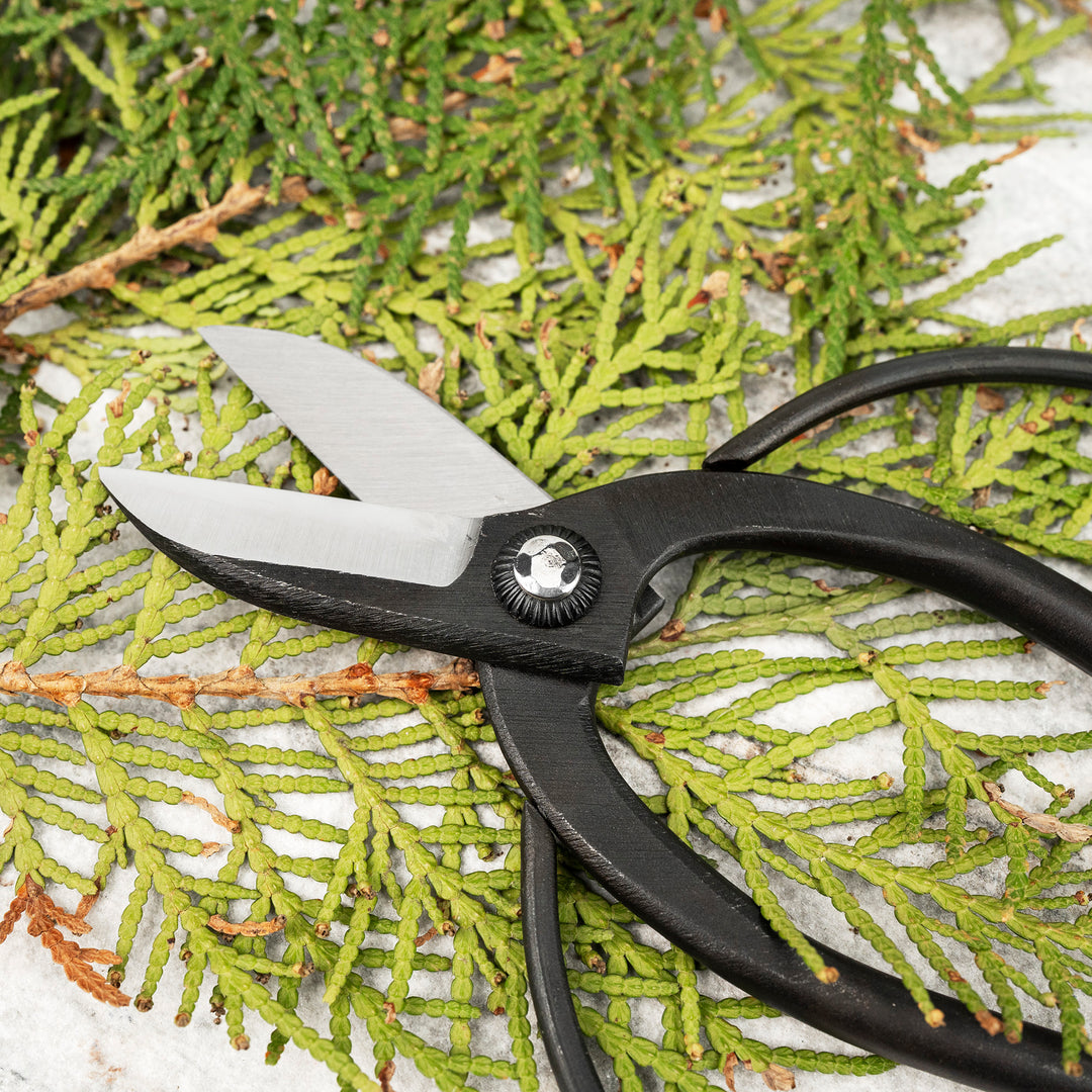 Japanese Carbon Floral Shears for Ikebana 16,5 cm Toyama Hamono