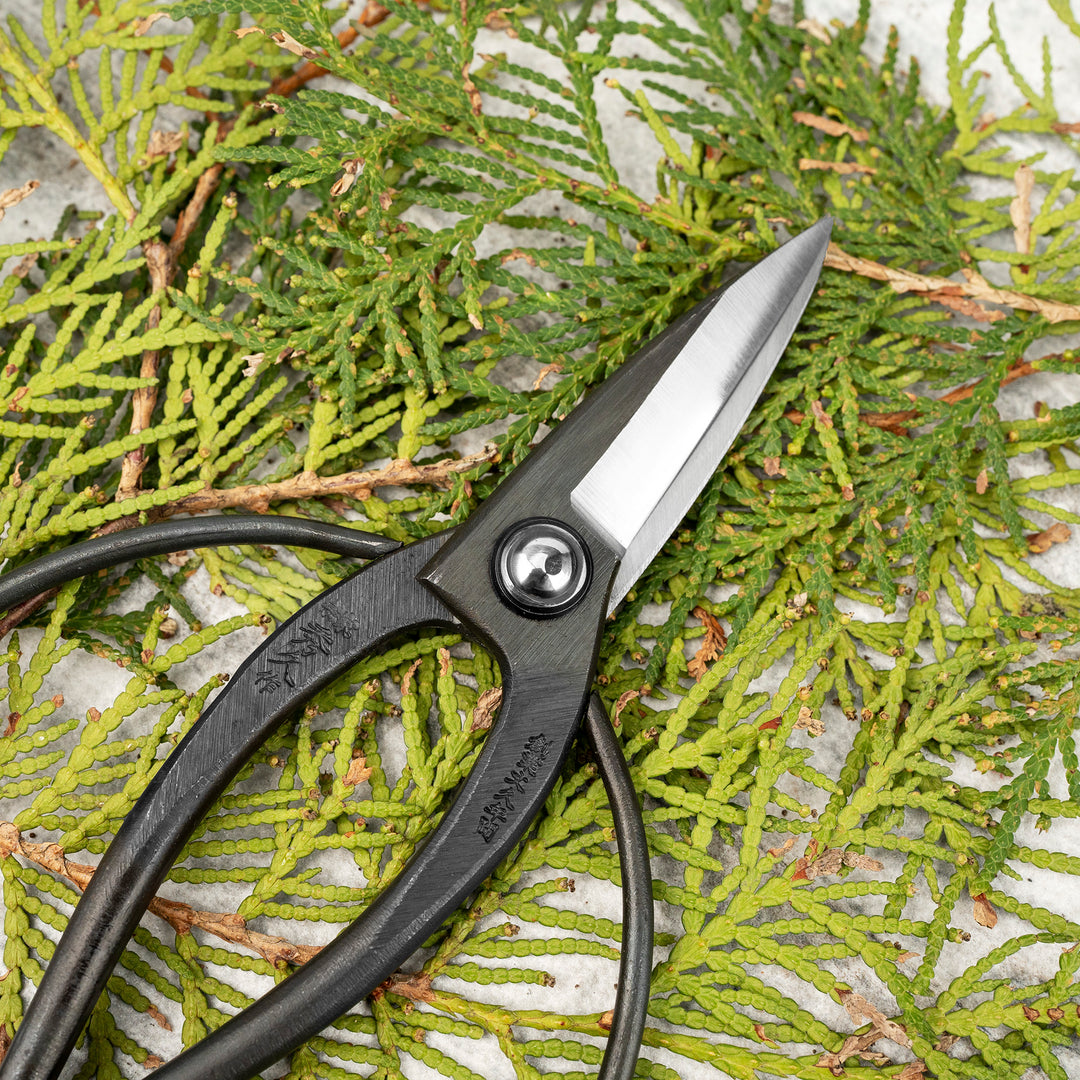 Japanese Carbon “Okubo” Bonsai and Garden Shears 20 cm Toyama Hamono