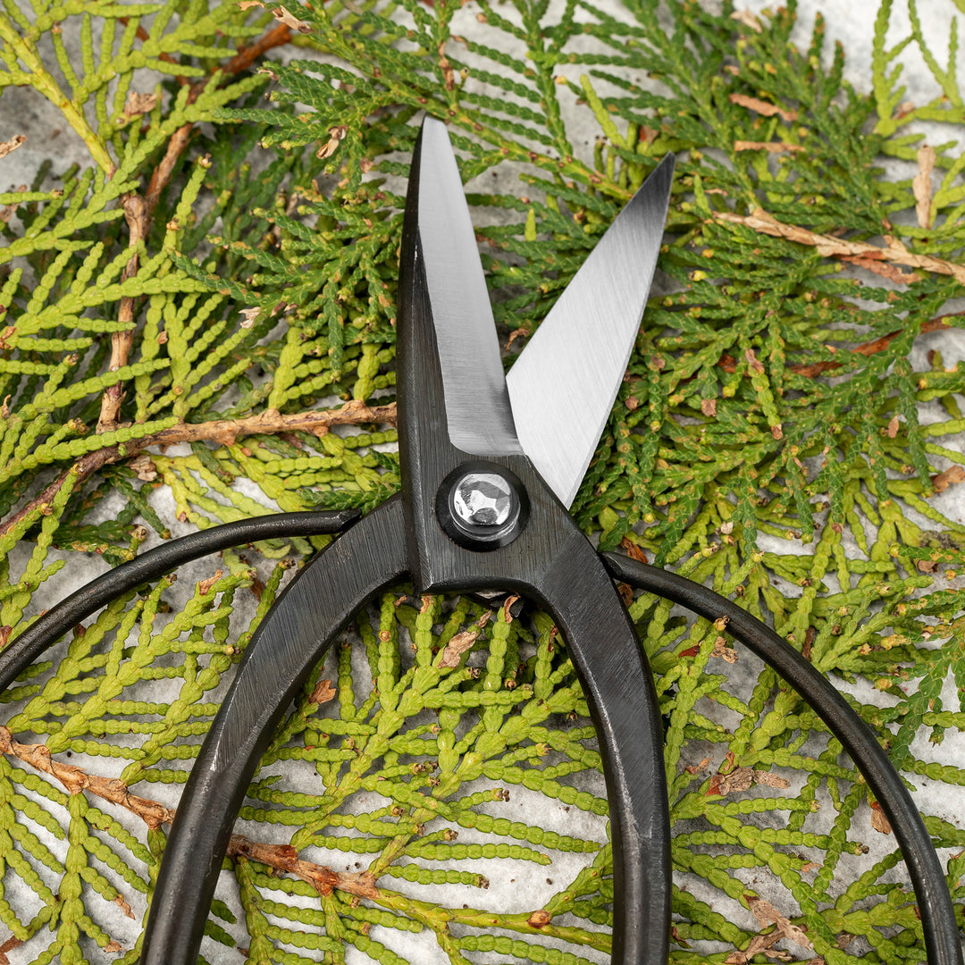 Japanese Carbon “Okubo” Bonsai and Garden Shears 20 cm Toyama Hamono