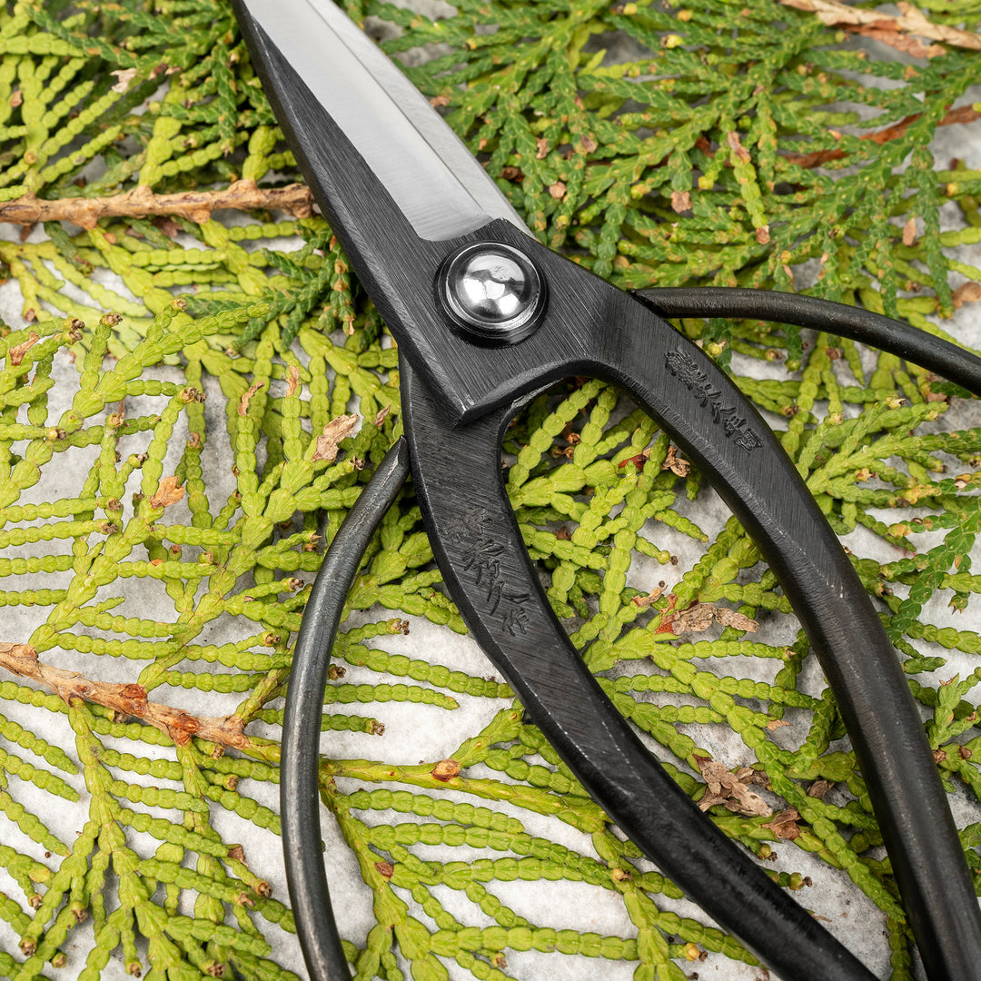Japanese Carbon “Okubo” Bonsai and Garden Shears 20 cm Toyama Hamono
