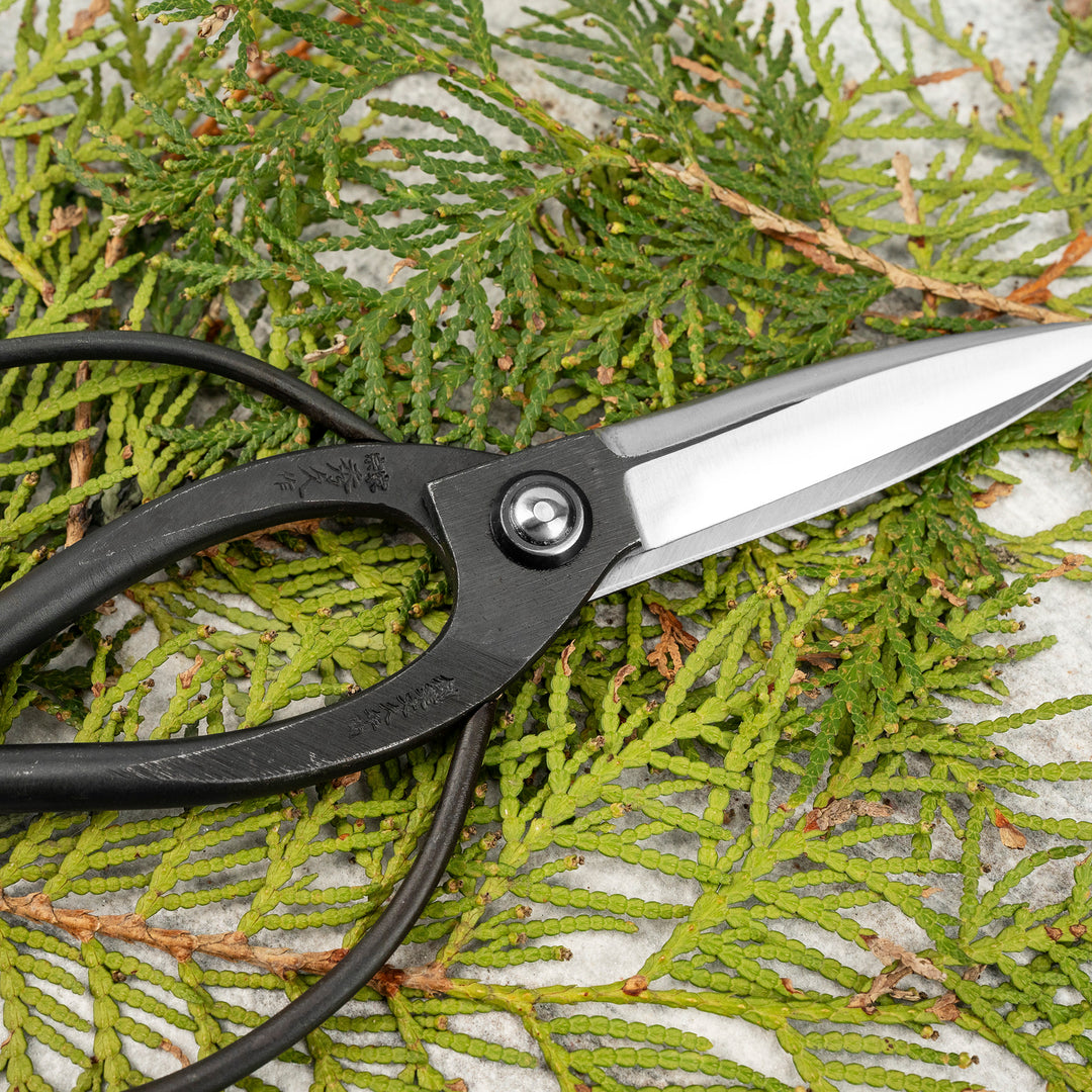 Japanese Carbon “Okubo” Bonsai and Garden Shears 22 cm Toyama Hamono