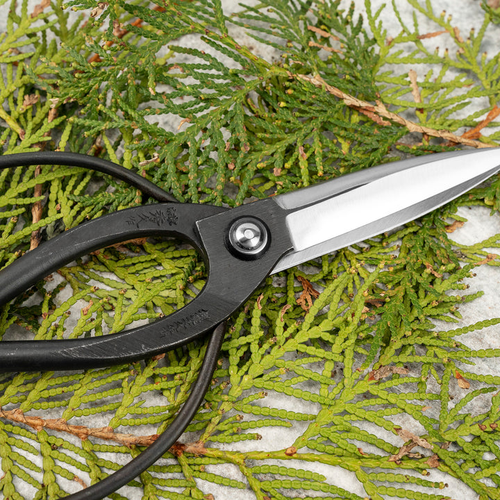 Japanese Carbon “Okubo” Bonsai and Garden Shears 22 cm Toyama Hamono