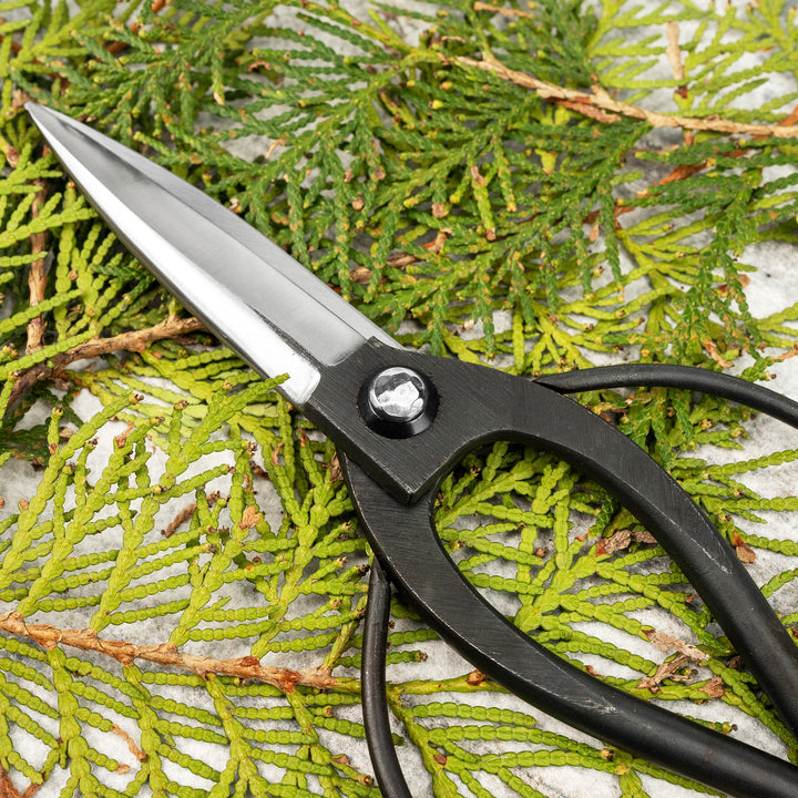 Japanese Carbon “Okubo” Bonsai and Garden Shears 22 cm Toyama Hamono