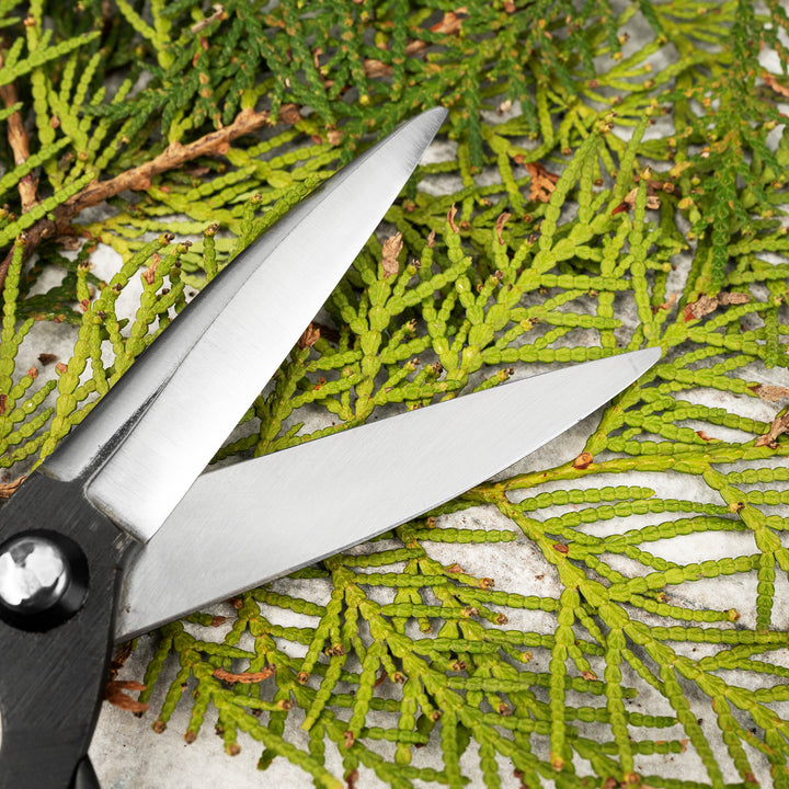 Japanese Carbon “Okubo” Bonsai and Garden Shears 22 cm Toyama Hamono