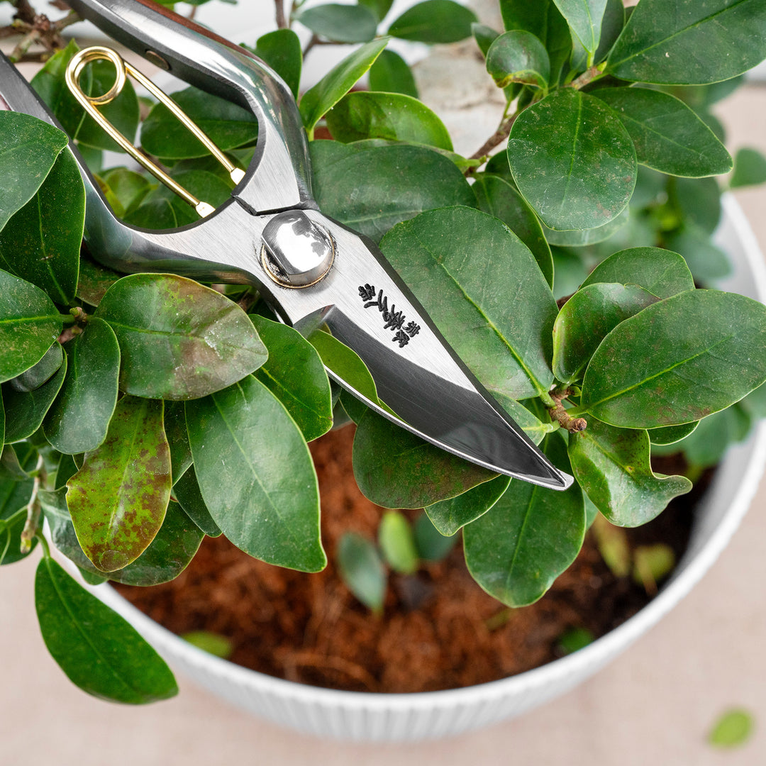 Japanese Stainless Steel Precision Shears for Home & Garden 19 cm Toyama Hamono