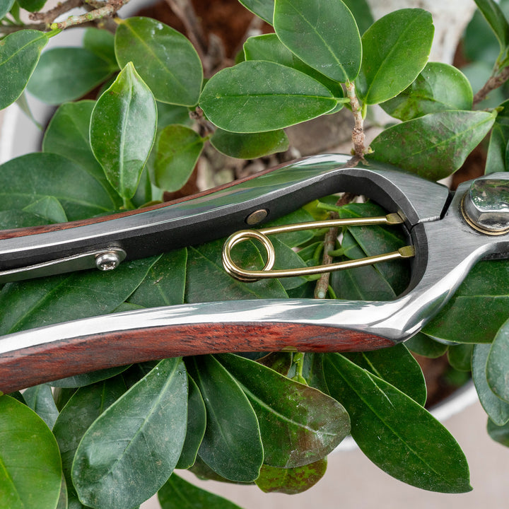 Japanese Stainless Steel Precision Shears for Home & Garden 19 cm Toyama Hamono