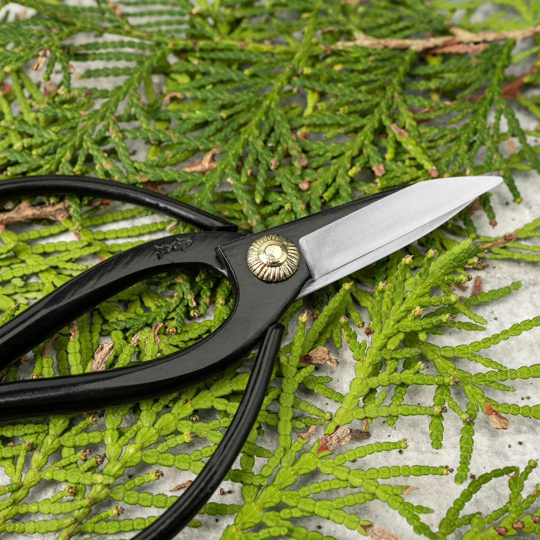 “Okubo” Black 14 cm Mini Carbon Garden Shears Toyama Hamono