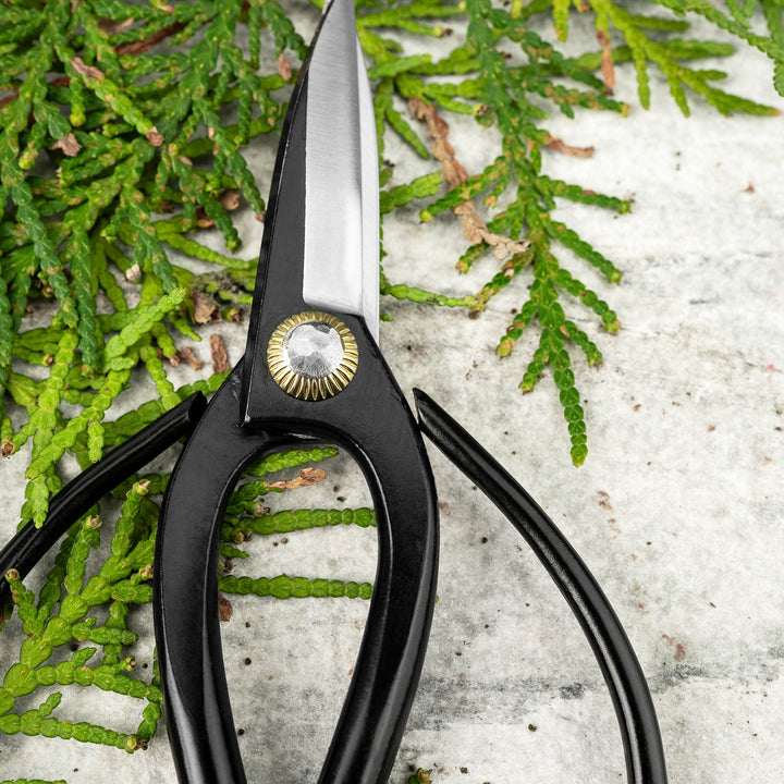 “Okubo” Black 14 cm Mini Carbon Garden Shears Toyama Hamono