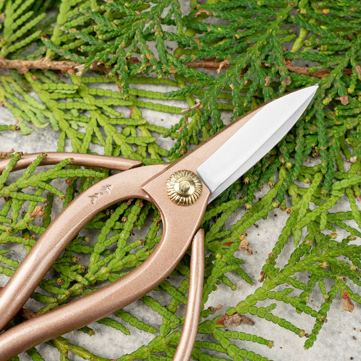 “Okubo” Gold 14 cm Mini Carbon Garden Shears Toyama Hamono