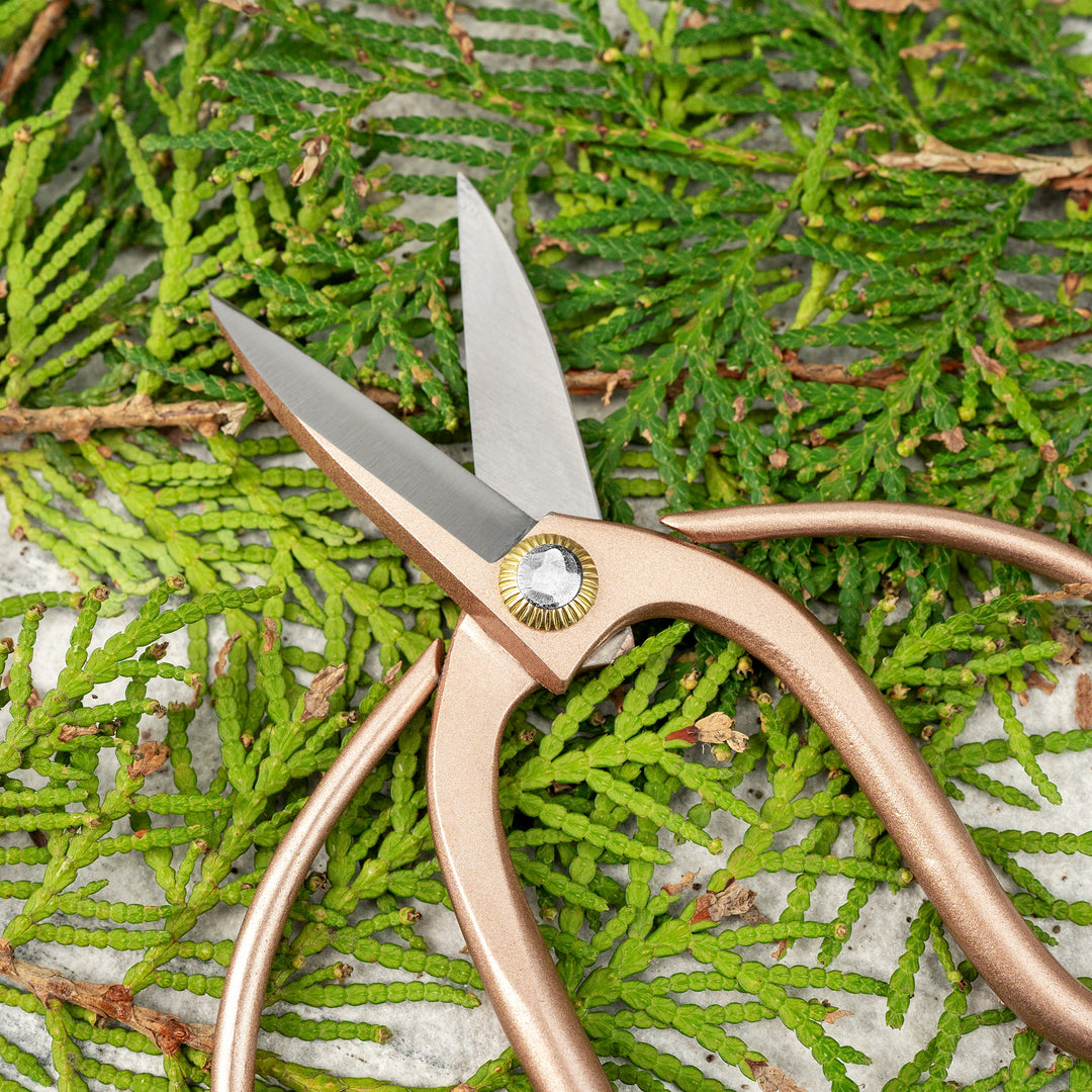 “Okubo” Gold 14 cm Mini Carbon Garden Shears Toyama Hamono