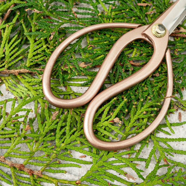 “Okubo” Gold 14 cm Mini Carbon Garden Shears Toyama Hamono