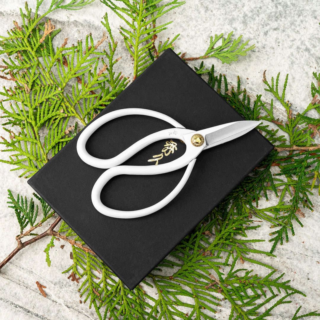 “Okubo” White 14 cm Mini Carbon Garden Shears Toyama Hamono