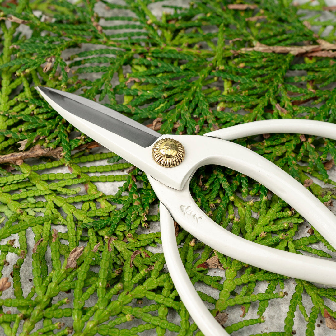“Okubo” White 14 cm Mini Carbon Garden Shears Toyama Hamono