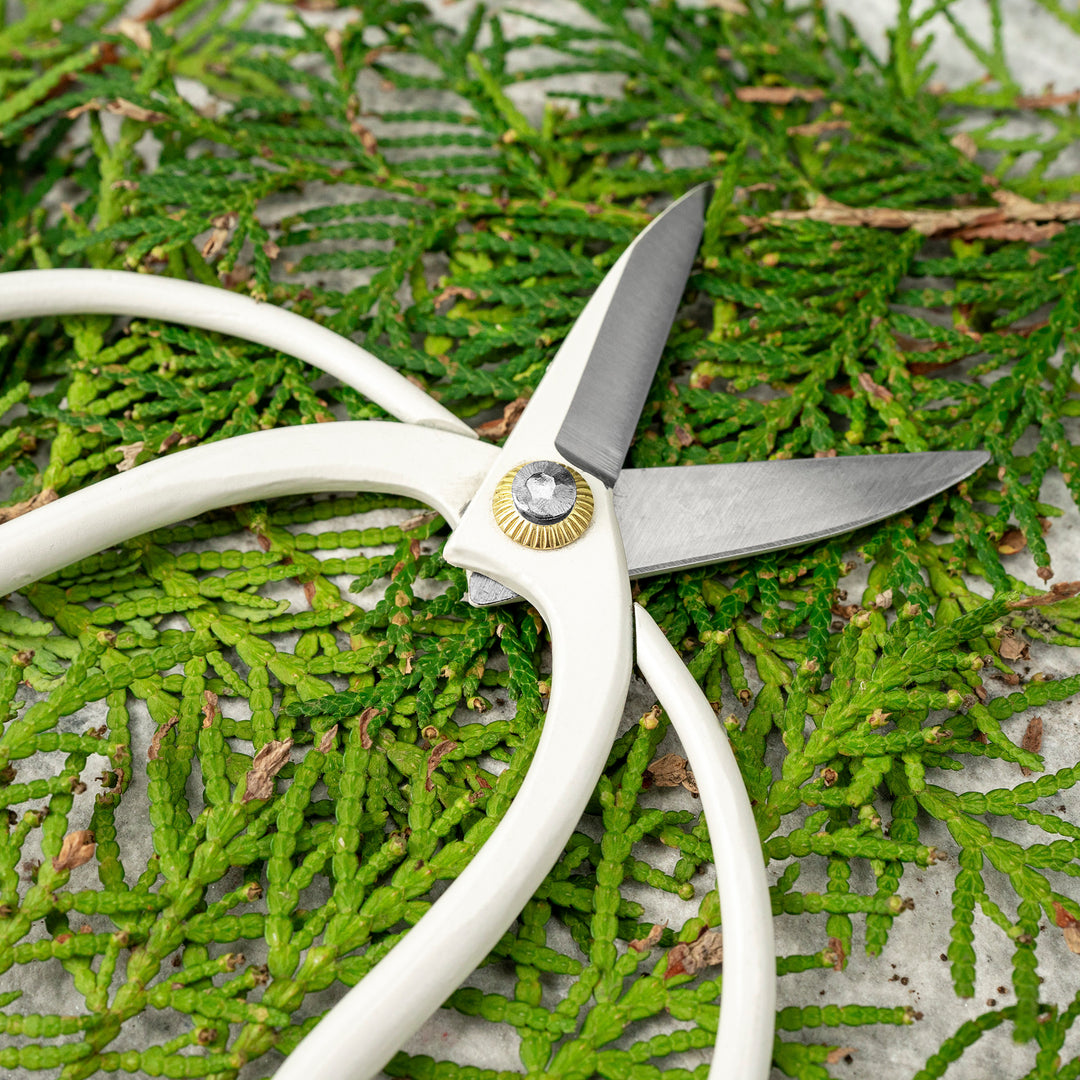 “Okubo” White 14 cm Mini Carbon Garden Shears Toyama Hamono