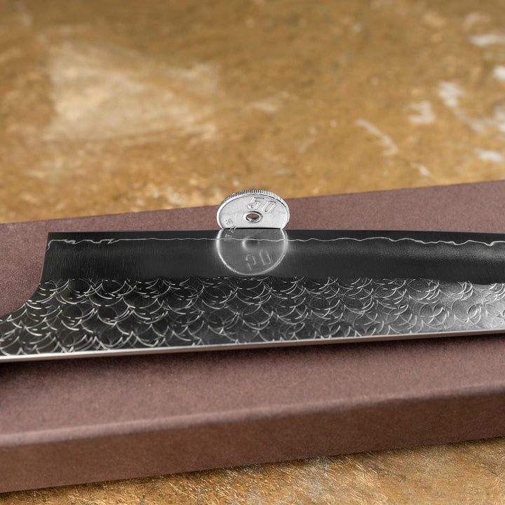 Kiritsuke Gyuto 21 cm Yoshimi Kato Minamo SG2