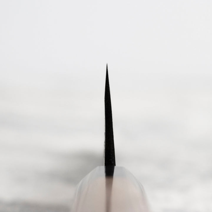 Gyuto 21 cm Sakai Takayuki Aogami#2/Iron Kurouchi