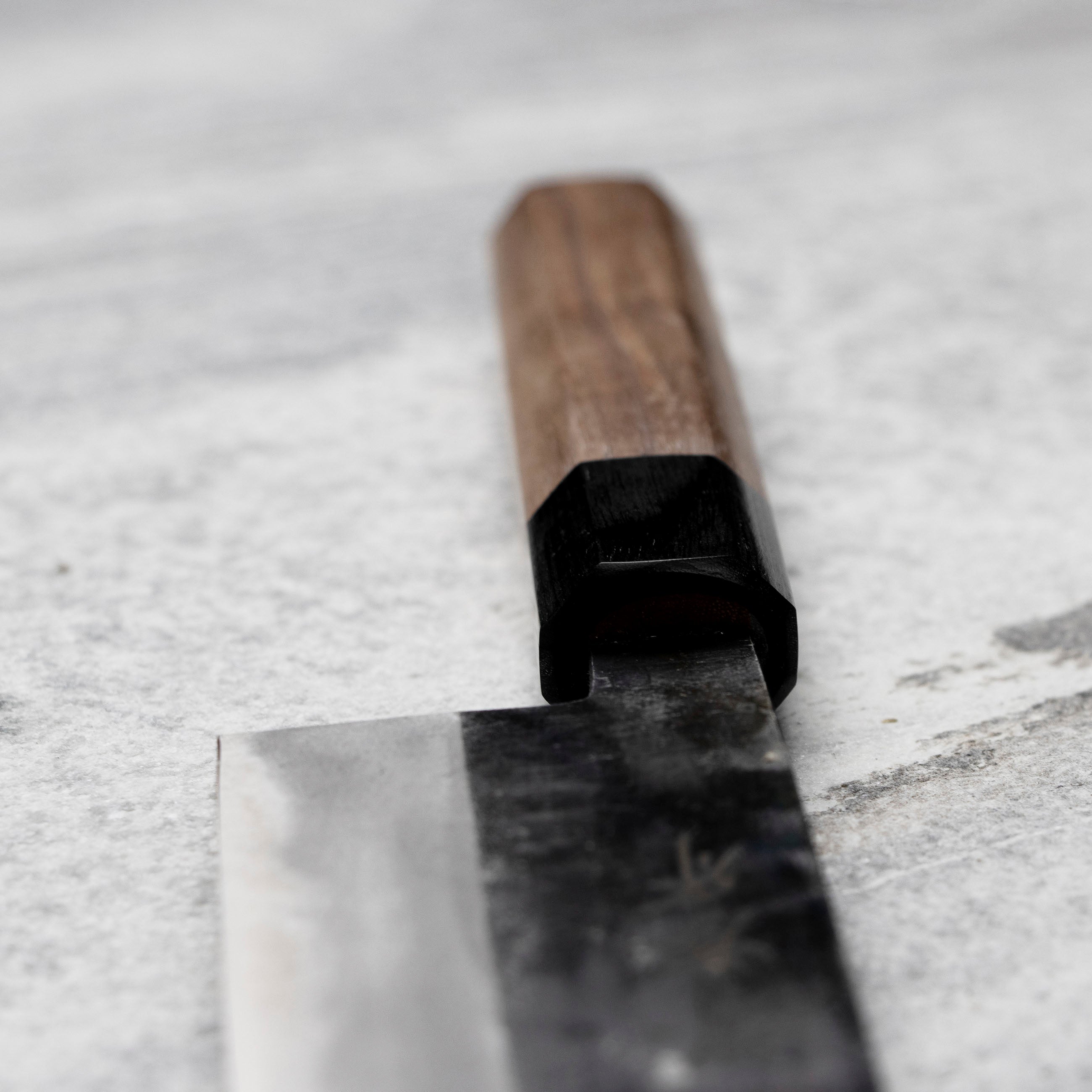 Gyuto 24 cm Sakai Takayuki Aogami#2/Iron Kurouchi – Japan-knives.com