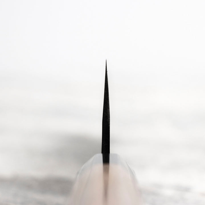 Gyuto 24 cm Sakai Takayuki Aogami#2/Iron Kurouchi