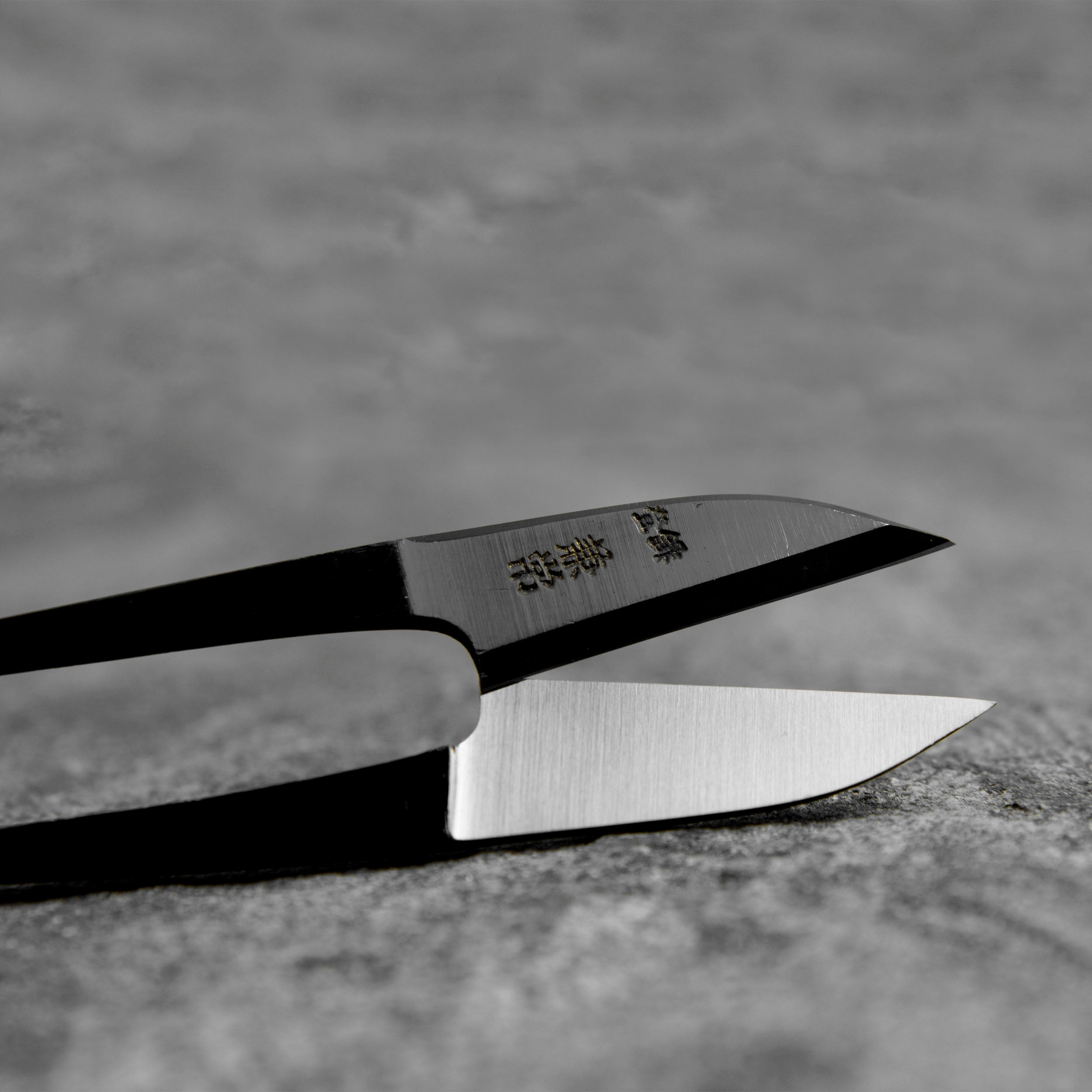 Nigiri Basami Scissors Ibushi 12 cm – Japan-knives.com